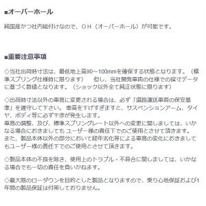 特別セール品 Rs R 車高調 Black I グロリア My33 Fr車 全長式車高調 代引手数料無料 送料無料 沖縄 離島除く 保存版