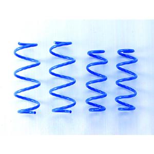 SPOON（スプーン） プログレッシィブスプリング S2000 AP1/AP2 パーツ