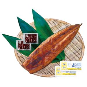 特大　鹿児島県産うなぎ蒲焼セット（永谷園お吸い物付）PFU-017A｜web-gift-shop