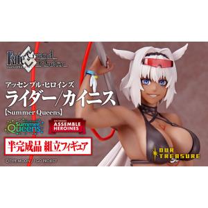 新品フィギュア ライダー/カイニス 【Summer Queens】 「Fate 新品フィギュア ライダー/カイニス 【Summer Queens】 「Fate