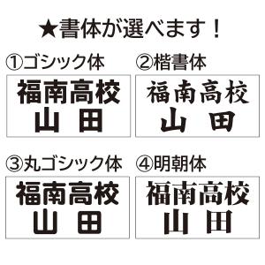 バドミントン用 ゼッケン(規定サイズ)30cm...の詳細画像4