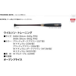 2025AWウイルソン トレーニング(22T型...の詳細画像1