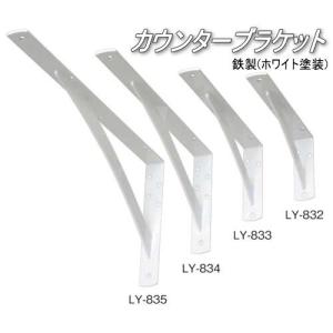 金属製棚受けブラケット シルバー　2個セット 棚受け金具 カウンターブラケット 鉄製ホワイト LY-834(2本入り) : web