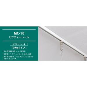 アラカワ ピクチャーレール MC-10 30k...の詳細画像1