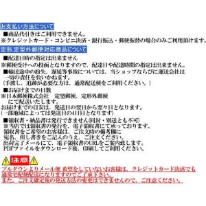 MIWA(美和ロック)JN メーカー鍵作成 デ...の詳細画像5