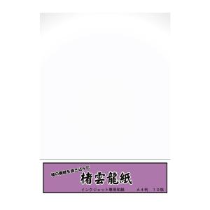 和紙のイシカワ 楮雲龍紙 A4判 10枚入 5袋 IJWP-1500-5P /a｜web-twohan