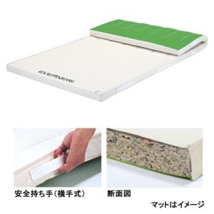 セール値下げ の Ev Ekm174 Web Twohan Web Twohan 店 体育マット シート 店の抗菌合成スポンジマットすべり止付6号1 360 6 Ev Ekm174ならショッピング ランキングや口コミも豊富なネット通販 更にお得なｔポイントも スマホアプリも充実で毎日どこからでも気に