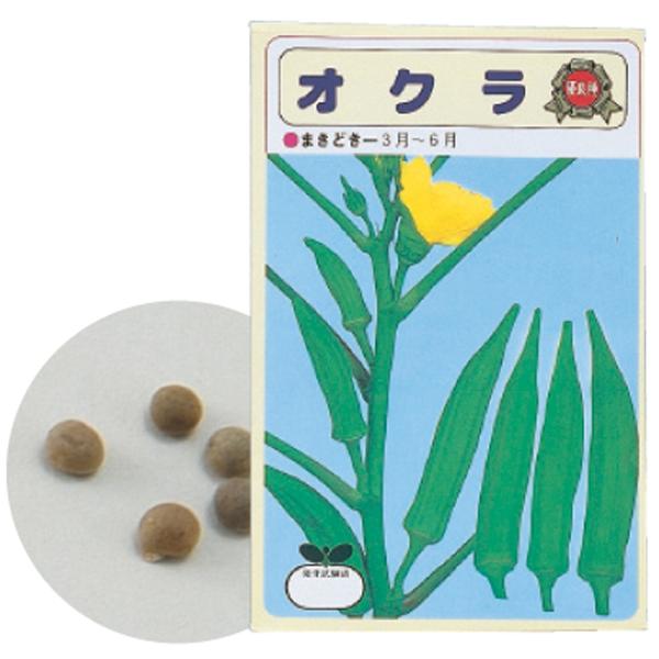 【法人様のみの販売】 アーテック  野菜の種 オクラ  00002739