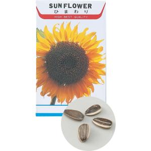 【法人様のみの販売】 アーテック 花の種 ヒマワリ 00002741