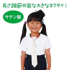 【法人様のみの販売】アーテック ソフトサテンネ...の詳細画像1