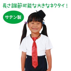 【法人様のみの販売】アーテック ソフトサテンネ...の詳細画像1