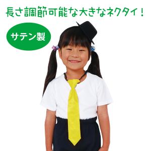 【法人様のみの販売】アーテック ソフトサテンネ...の詳細画像1