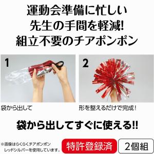 【法人様のみの販売】アーテック らくらくチアポ...の詳細画像1