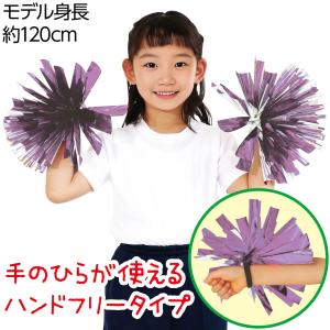【法人様のみの販売】アーテック らくらくチアポ...の詳細画像2