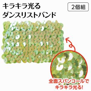 【法人様のみの販売】アーテック メタリックリス...の詳細画像1