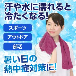 【法人様のみの販売】アーテック 冷感タオル ピ...の詳細画像2