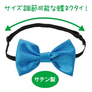 【法人様のみの販売】アーテック ソフトサテン ...の詳細画像1