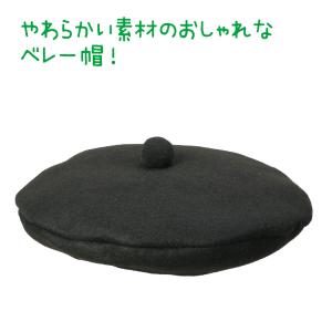 【法人様のみの販売】アーテック フェルトベレー...の詳細画像1