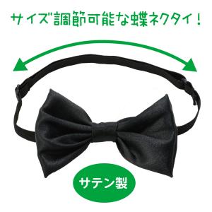 【法人様のみの販売】アーテック ソフトサテン蝶...の詳細画像1