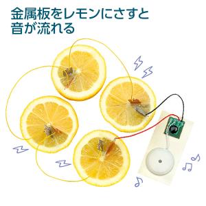 【法人様のみの販売】アーテック レモン電池キッ...の詳細画像1