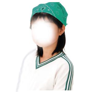 【法人様のみの販売】アーテック バンダナ 緑 ...の詳細画像1