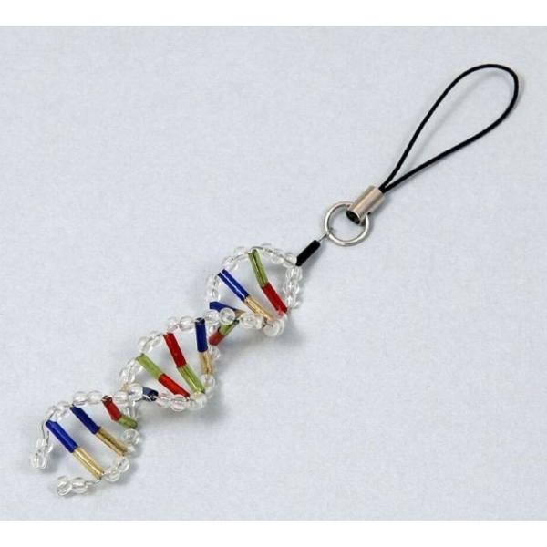 【法人様のみの販売】 アーテック DNAストラップ作り　093429