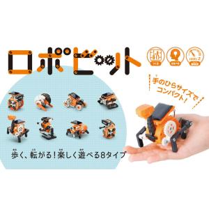 イーケイジャパン　ロボビット [ JS-6216 ]  JS-6216