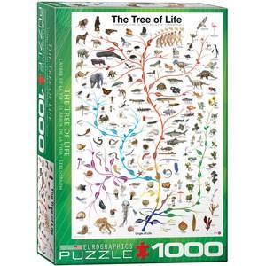 Eurographics 1000ピース ジグソーパズル ユーログラフィックス 正規品 The Tr...