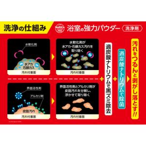 アイオン 浴室の強力パウダー洗浄剤 280g ...の詳細画像1
