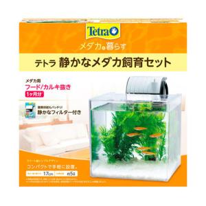 テトラ おさかな飼育 静かなセット PL-17SF ( 1個 )/ Tetra(テトラ