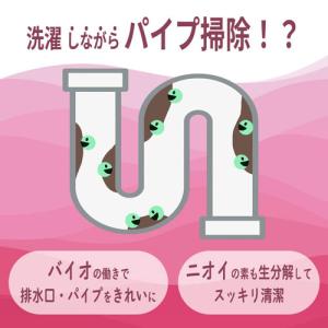 ミマスクリーンケア 緑の魔女 ランドリー 柔軟...の詳細画像1