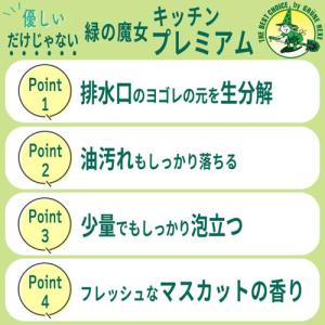 ミマスクリーンケア 緑の魔女 キッチンプレミア...の詳細画像4