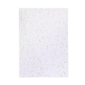 ヒサゴ 天井ボードの補修に! 天井シール ジプトーン OP4000 : webby