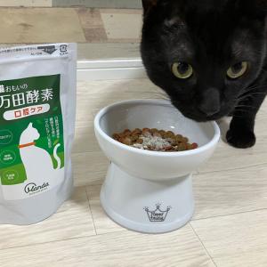 ポスト投函 万田発酵 愛猫おもいの 万田酵素 ...の詳細画像2