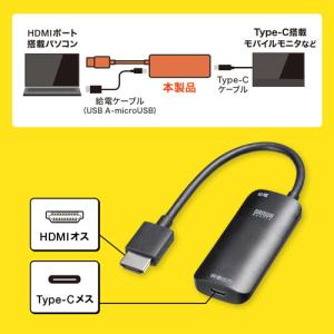 サンワサプライ HDMI-Type-C DP ...の詳細画像2