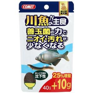 イトスイ コメット 川魚の主食 納豆菌 40g ...の商品画像
