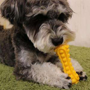 ドギーマンハヤシ ストロングダンベル STRO...の詳細画像4