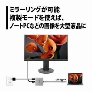 プリンストン PRINCETON USB PD...の詳細画像5