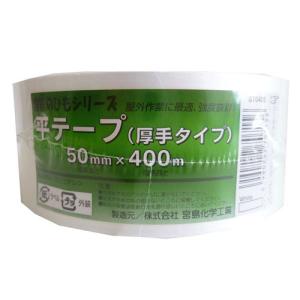 平テープ 厚手タイプ 白 50mm×400m ST0400 : 農業資材専門店 農援.com