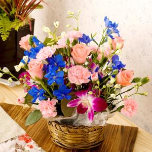 バラ 薔薇 デュマン