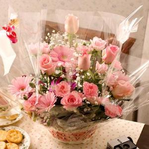 ばらエレガント7 ジ・エンシェント・マリナー(Ausoutcry)（大苗予約）7号鉢植え バラ苗