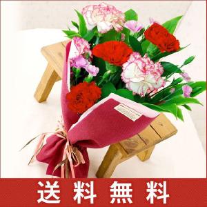 遅れてごめんね　5 13（火）以降のお届け 母の日ギフト 長持カーネーション花束　なでしこマミー