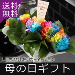 母の日ギフト 花 レインボーカーネーション アレンジ