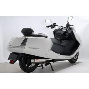 REALIZE（リアライズ） ROSSO マグザム バイクマフラー JBK-SG21J 2007