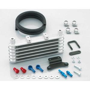 MINIMOTO（ミニモト） エイプ50/100プロテクトオイルクーラーセット3段