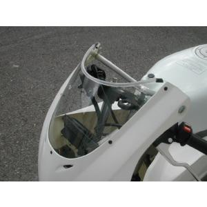 CHIC DESIGN（シックデザイン） ガイラスポーツシールド スクリーン