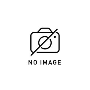 MALOSSI MALOSSI:マロッシ ピストンリングセット LEONARDO LC 250 [レオナルド] APRILIA アプリリア｜webike02
