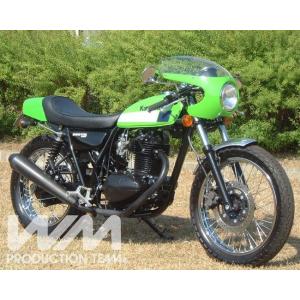 250TR　テールカウル 250trカウル（バイク用シート、テールカウル）｜外装パーツ｜バイク