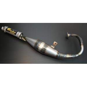 CHAMELEON FACTORY カメレオンファクトリー パラライザーIIIチャンバー DIO [...