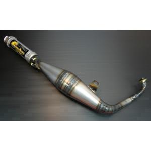 CHAMELEON FACTORY カメレオンファクトリー パラライザーIIIチャンバー ライブDI...